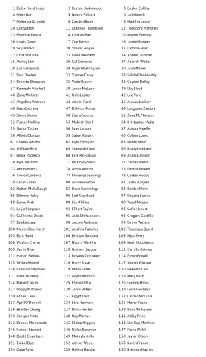 1000 Random Names Generator screenshot