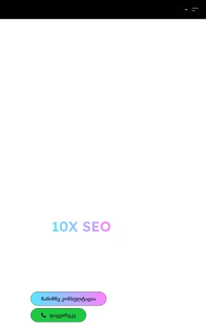 10XSEO SEO Agency in Georgia screenshot