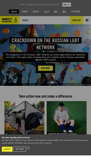 Amnesty International Global Human Rights Campaigns screenshot