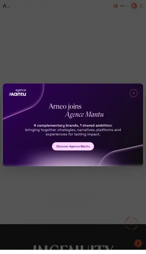 Arneo Digital Consulting Agency screenshot