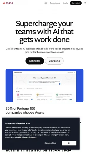 Asana Work Management and Team Collaboration Platform screenshot