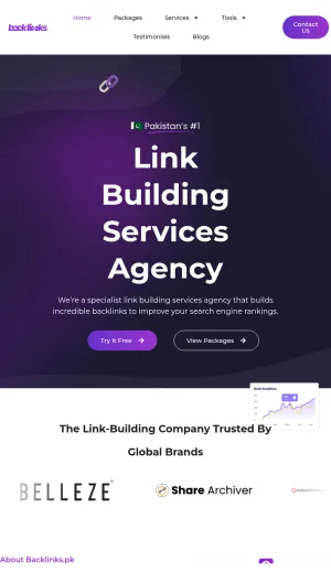 Backlink Building and SEO Services in Pakistan screenshot