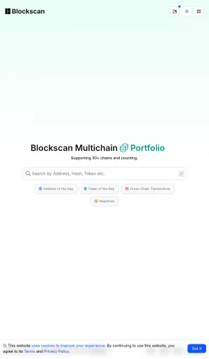 Blockscan Multichain Blockchain Explorer and Portfolio Analytics screenshot