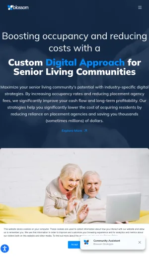 Blossom Strategies Senior Living Marketing Consulting screenshot
