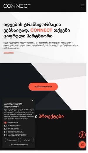 Connect Web Development and Digital Marketing Services screenshot