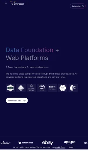 Dataforest Data Engineering and Custom AI Software Development screenshot