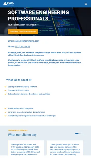 Delta Systems Software Engineering and Custom Development screenshot