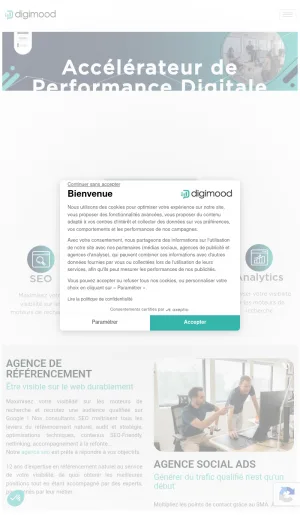Digimood SEO, SEA and Social Ads Agency screenshot