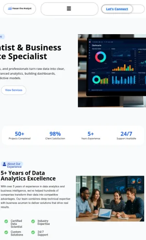 Hasan the Analyst - Data Analytics and Business Intelligence Consulting screenshot