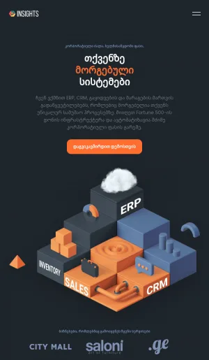 Insights Custom ERP and CRM Software Solutions screenshot