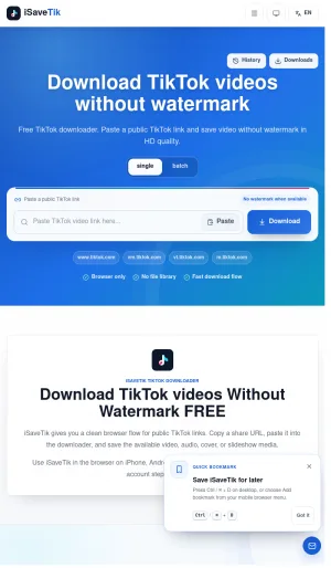 iSaveTik TikTok Video Downloader screenshot