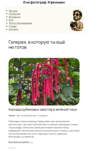 I Am Not a Photographer, I Am a Phenomenon Nature Photo Gallery screenshot