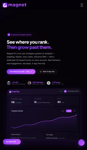 Magnet Instagram Growth and Digital Marketing Agency screenshot