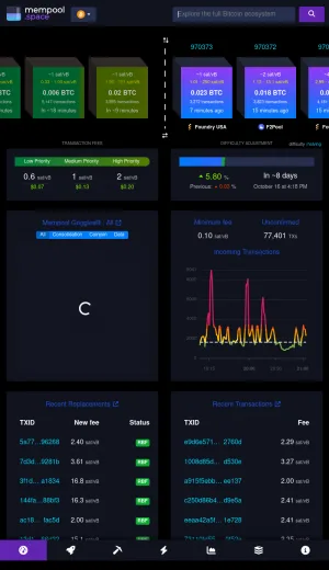 Mempool Bitcoin Blockchain Explorer and Network Monitor screenshot