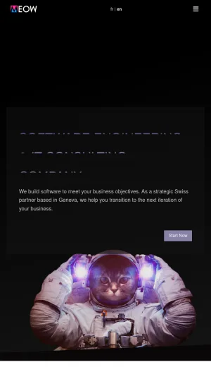Meow Geneva Software Engineering and IT Consulting screenshot