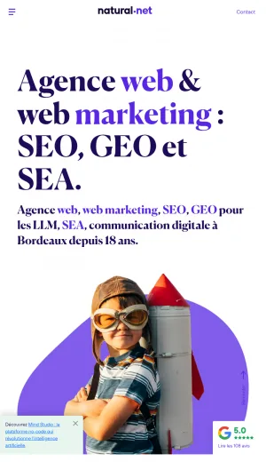 Natural-net Web Agency and Digital Marketing in Bordeaux screenshot