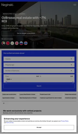 Neginski International Property Investment Agency screenshot