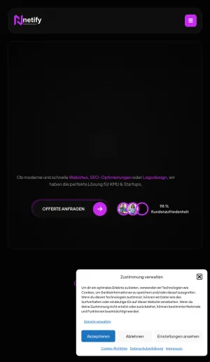 Netify - Web Agency in St. Gallen screenshot