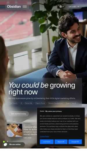 Obsidian Digital Marketing Agency screenshot