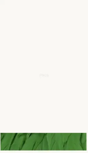 Pika AI Video, Image, and Audio Creation Platform screenshot
