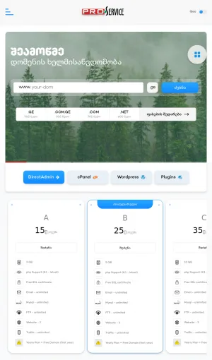 Pro-Service Hosting, Domains, and Web Design screenshot