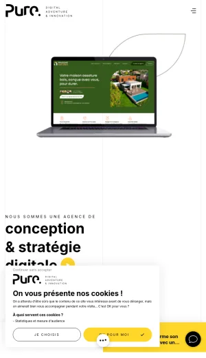 Pure Illusion Digital Agency for Web Design and Development screenshot