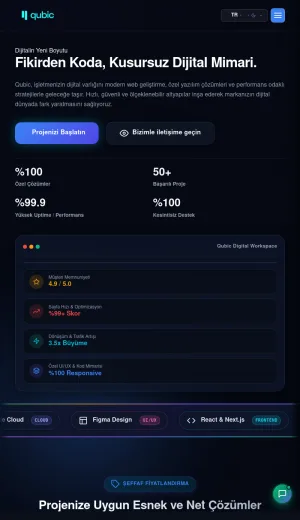 Qubic Digital Agency for Web Development and Custom Software screenshot