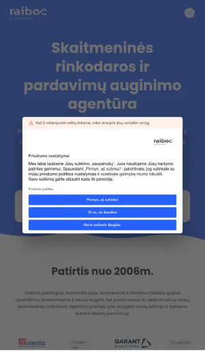 RAIBEC Digital Marketing Agency for Sales Growth screenshot