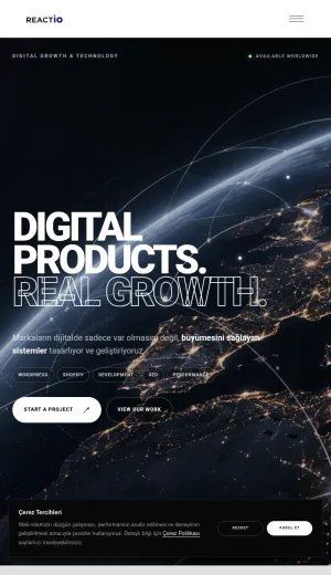 Reactio Digital Agency for Web Development and E-Commerce screenshot