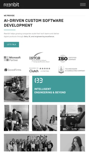 Reenbit Custom Software and IT Outsourcing Company screenshot