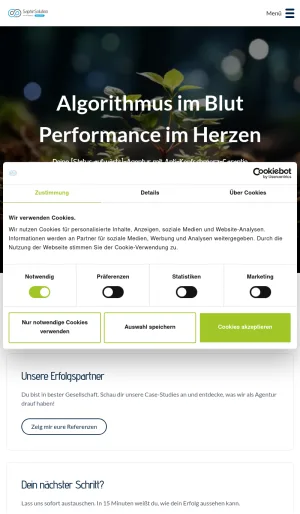 SaphirSolution Online Marketing and Digital Agency screenshot