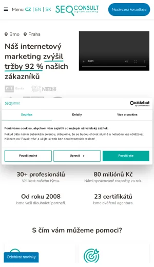 SEO Consult Digital Marketing Agency screenshot