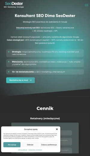 SeoDester SEO Consulting and Strategy Services screenshot