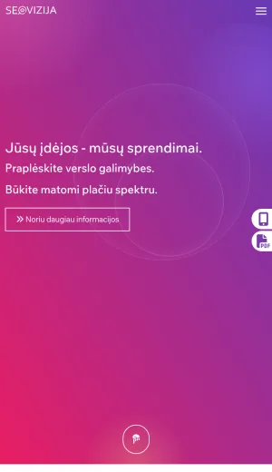 SEOvizija Search Engine Optimization and Web Development Services screenshot