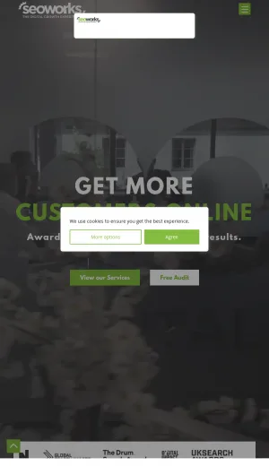 The SEO Works screenshot