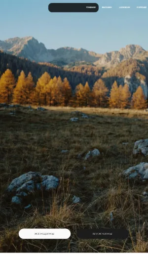 Sinoptik Waterproof Outerwear and Apparel Brand screenshot