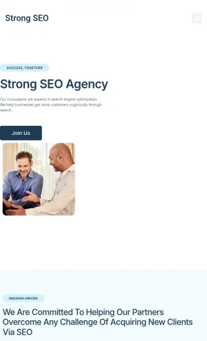 Strong SEO Consulting and Search Engine Optimization Services screenshot