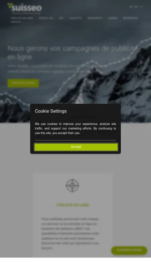Suisseo Swiss Digital Marketing Agency screenshot