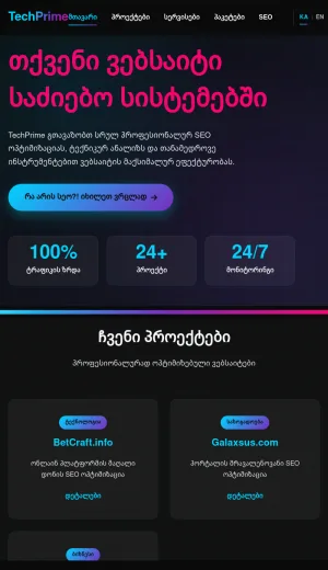 TechPrime SEO and Website Analytics Services screenshot