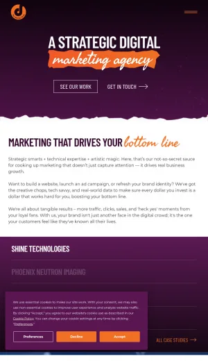 The Digital Ring Digital Marketing Agency screenshot