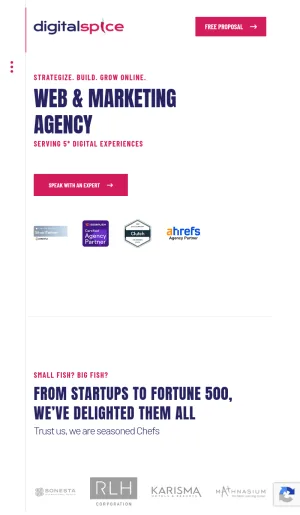 Digital Spice: Franchise Web Design and SEO Agency screenshot