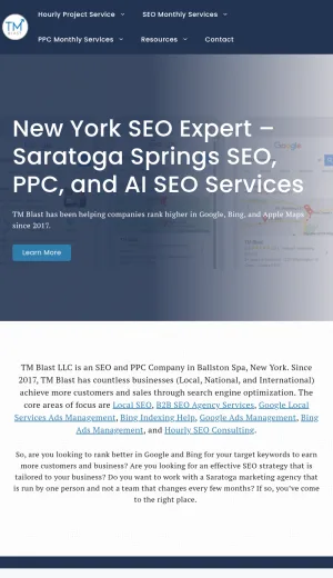 TM Blast SEO and PPC Marketing Services screenshot