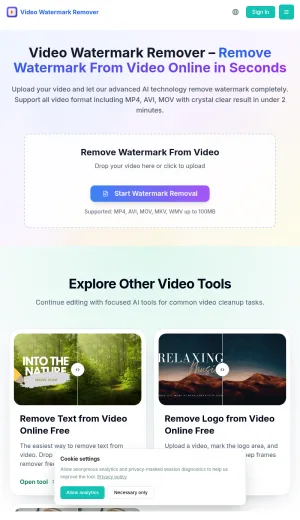 AI Video Watermark and Object Removal Tool screenshot