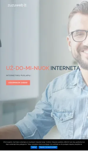 Zuzuweb Website Design, SEO, and Content Writing Services screenshot